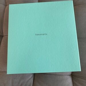 Authentic Tiffany & Co. Medium Gift Box